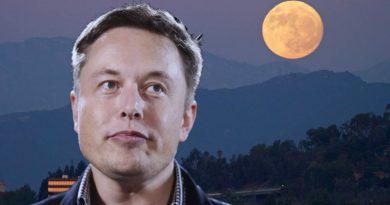Elon Musk EDM Moon Festival