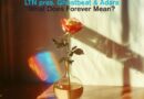 LTN PRES. GHOSTBEAT & ADARA – WHAT DOES FOREVER MEAN?